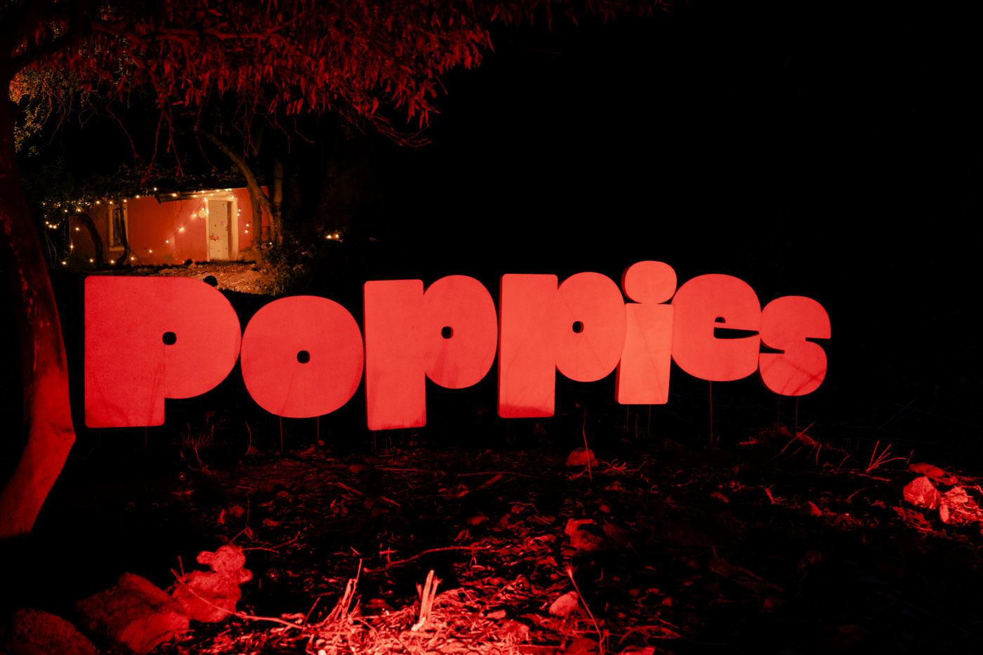 The concert — Poppies in the Backyard